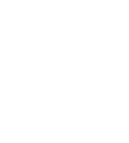 NetCube Logo